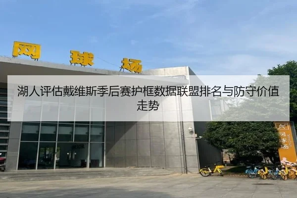 湖人评估戴维斯季后赛护框数据联盟排名与防守价值走势