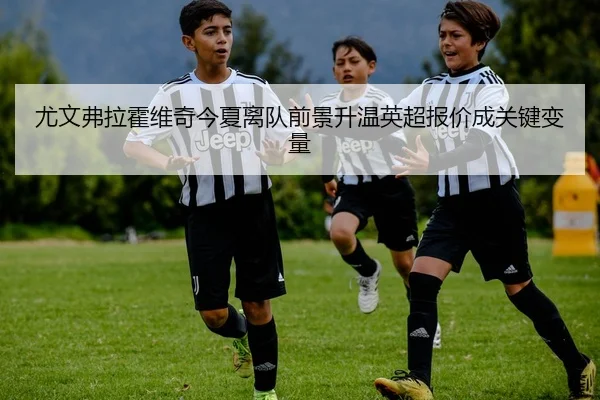尤文弗拉霍维奇今夏离队前景升温英超报价成关键变量